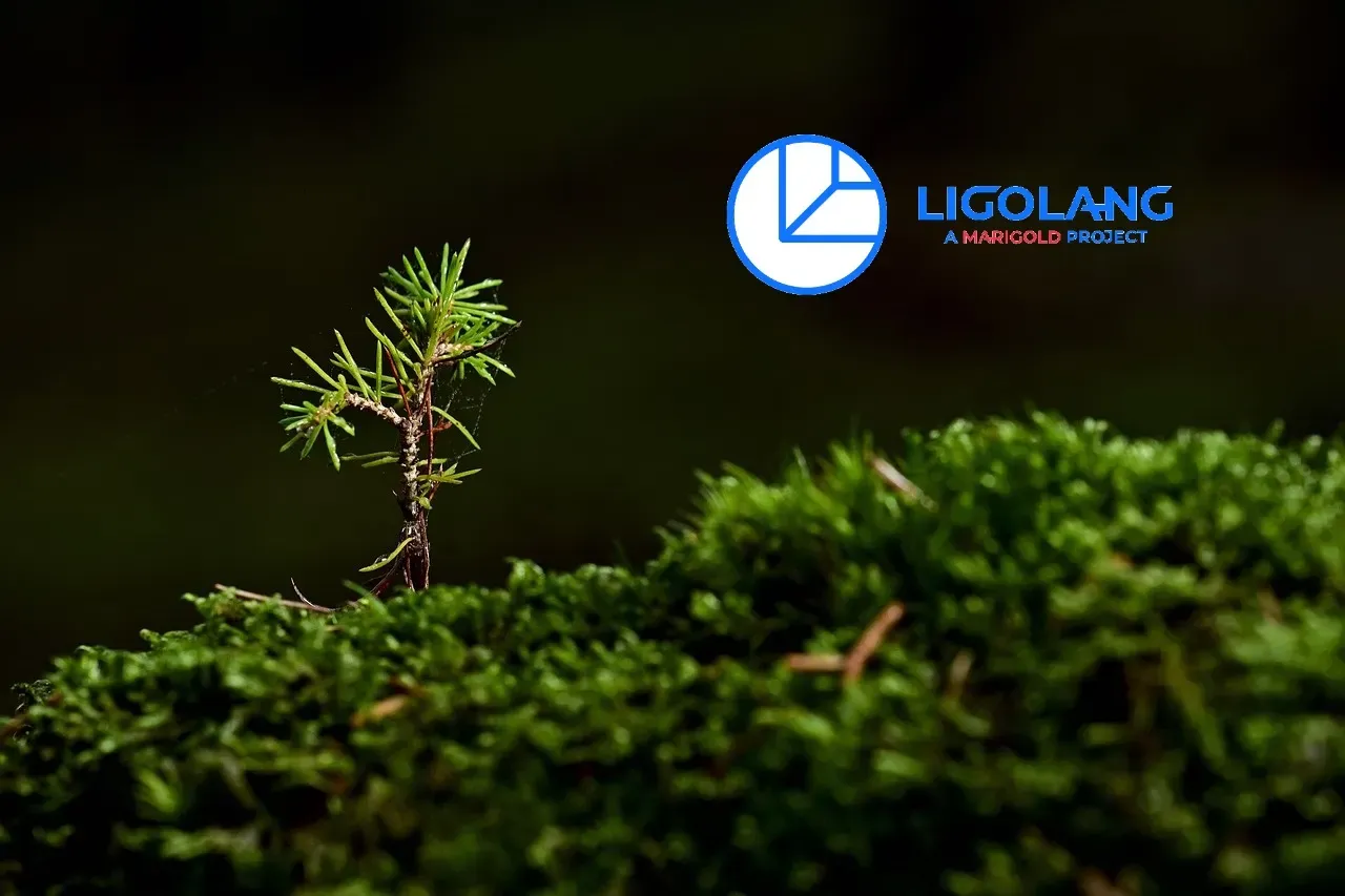 Writing a Sapling contract with Ligo